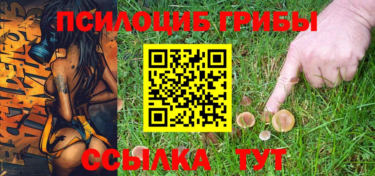 Галлюциногенные грибы мухоморы Сертолово