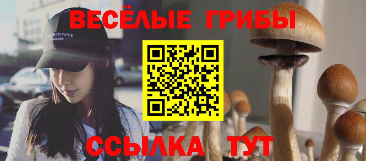 Сертолово  Псилоцибиновые грибы MAGIC MUSHROOMS  Вход с VPN 